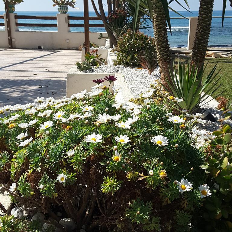 Hotel E Residence Il Faro Acciaroli Exteriér fotografie